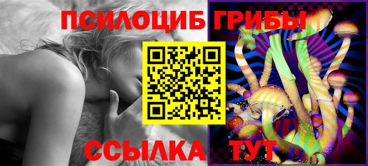 Галлюциногенные грибы прущие грибы Саяногорск